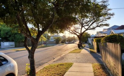 A suburban street with trees lining the median strip next to a walking path. Part of a small silver car is visible in the bottom-left corner